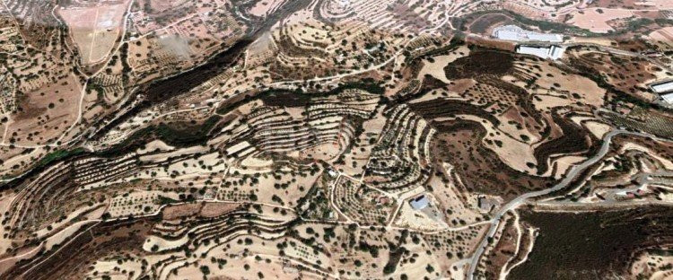 Agricultural field for sale in Limassol