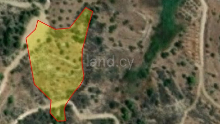 Agricultural field for sale in Paphos