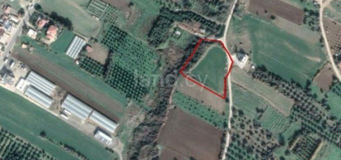 Działka mieszkaniowa na sprzedaż w Paphos