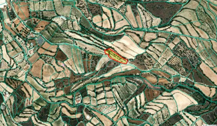 Campo agrícola a la venta en Paphos