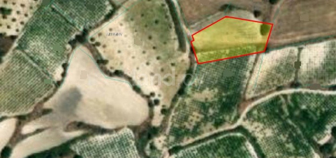 Agricultural field for sale in Paphos