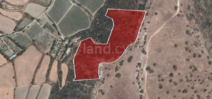 Terrain agricole à vendre à Limassol