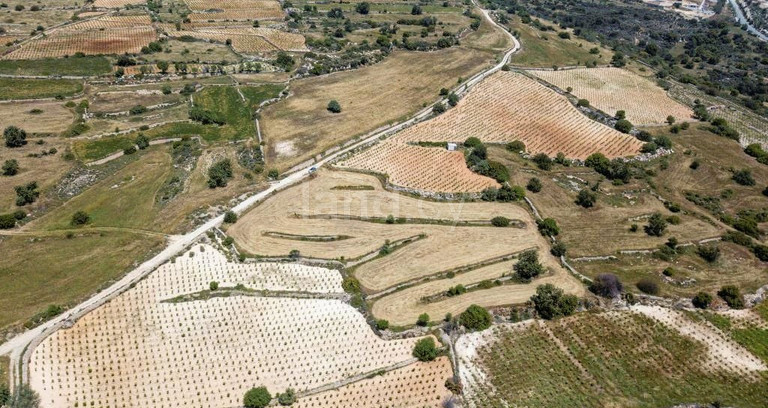 Residential field for sale in Limassol