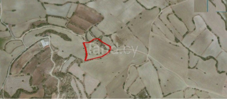 Agricultural field for sale in Limassol