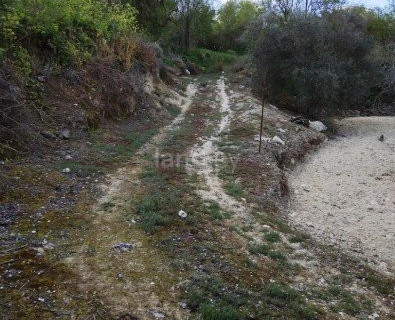 Residential field for sale in Paphos