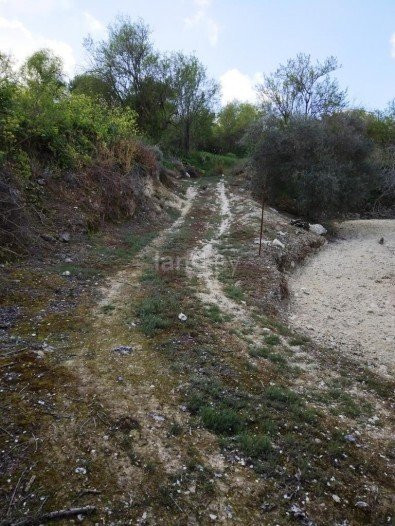 Οικιστικό αγροτεμάχιο προς πώληση - Πάφος