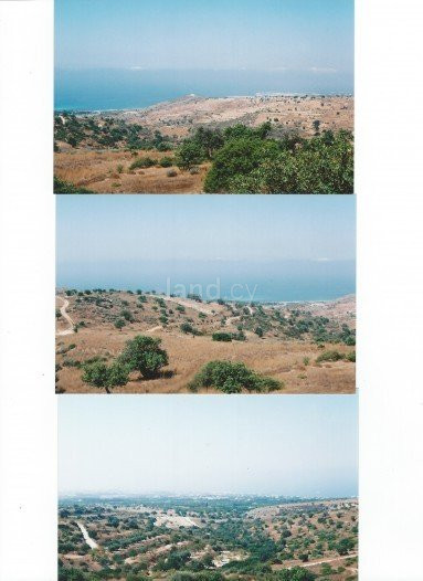Landwirtschaftliches Baugebiet in Paphos zu verkaufen