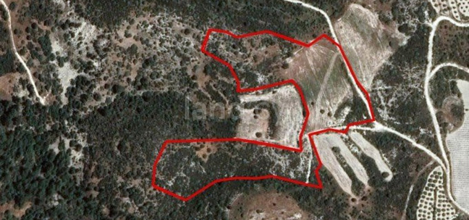 Field for sale in Limassol