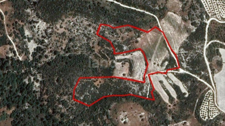 Field for sale in Limassol