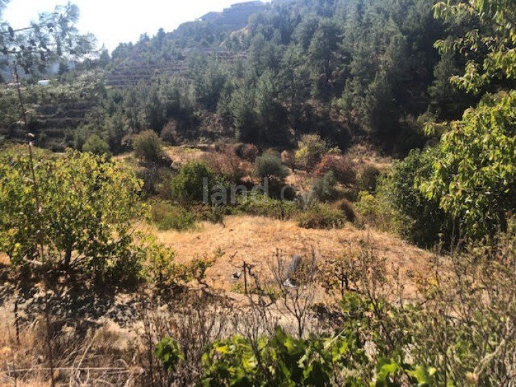 Οικιστικό αγροτεμάχιο προς πώληση - Λεμεσός