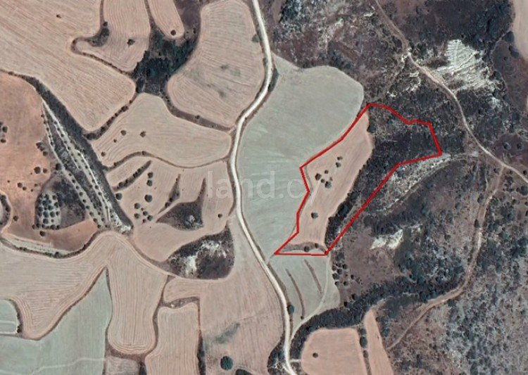 Campo agrícola a la venta en Paphos