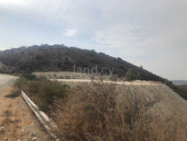 Agricultural field for sale in Limassol