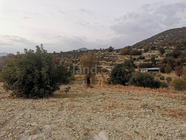 Agricultural field for sale in Limassol