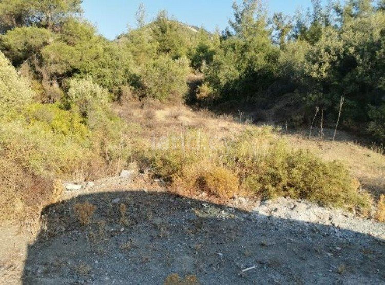 Terrain agricole à vendre à Limassol