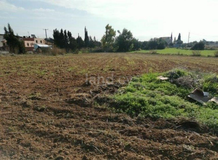 Agricultural field for sale in Limassol