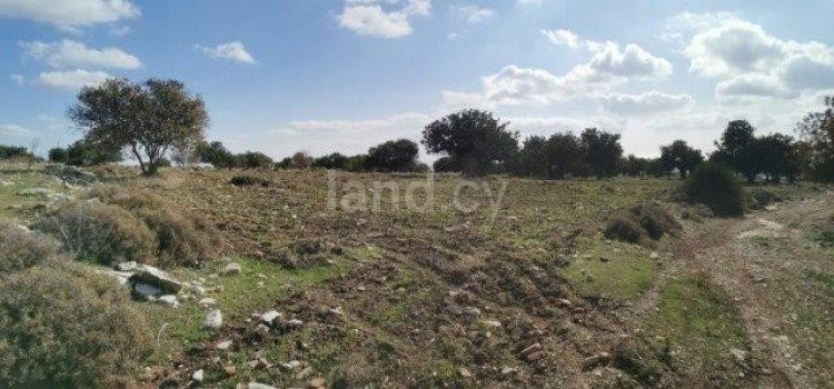 Αγροτικό αγροτεμάχιο προς πώληση - Λεμεσός