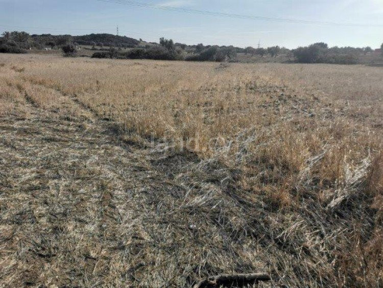 Αγροτικό αγροτεμάχιο προς πώληση - Λεμεσός