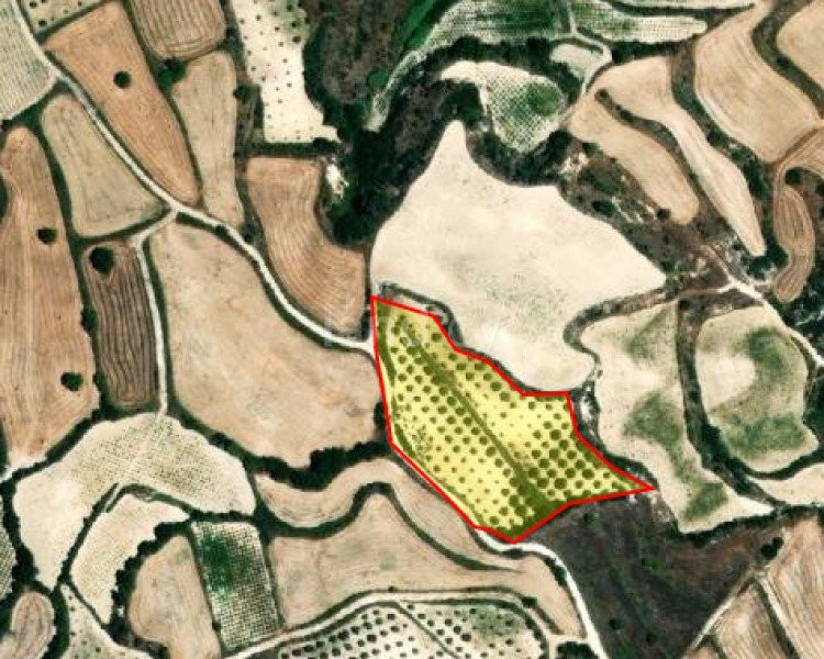 Campo agrícola a la venta en Paphos