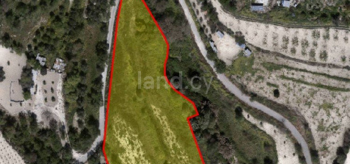 Residential field for sale in Paphos