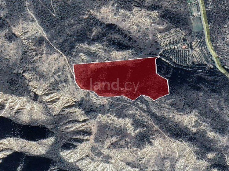 Agricultural field for sale in Limassol