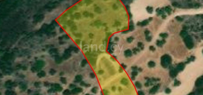 Landwirtschaftliches Baugebiet in Paphos zu verkaufen