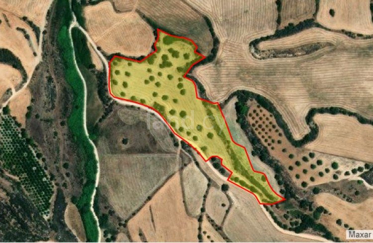 Landwirtschaftliches Baugebiet in Paphos zu verkaufen
