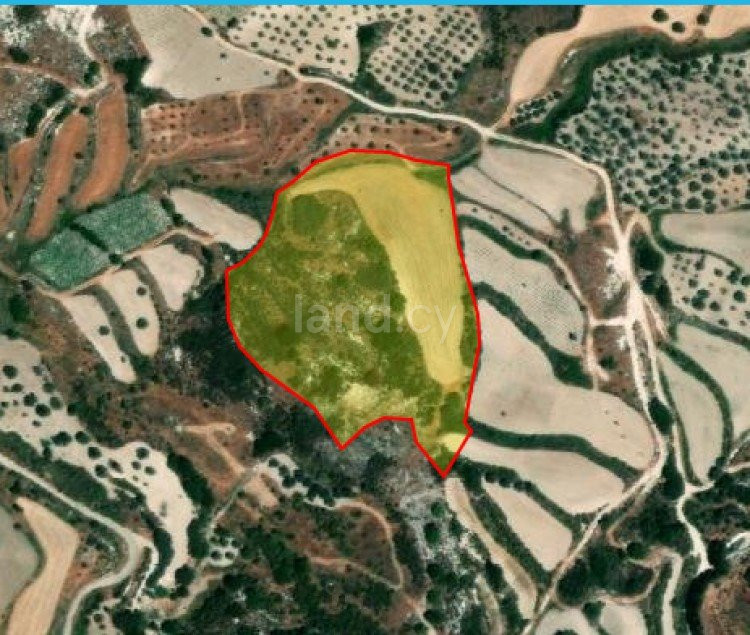 Terrain agricole à vendre à Paphos