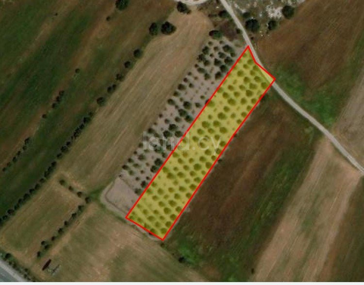 Campo agrícola a la venta en Paphos