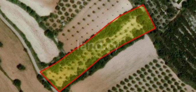 Landwirtschaftliches Baugebiet in Paphos zu verkaufen