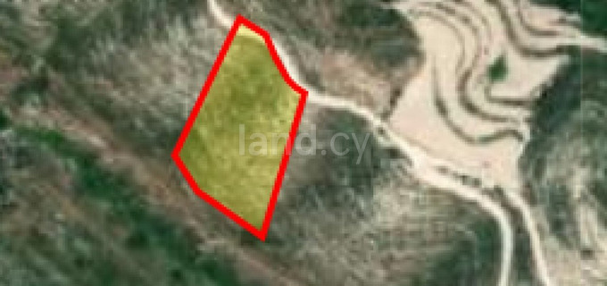 Landwirtschaftliches Baugebiet in Paphos zu verkaufen