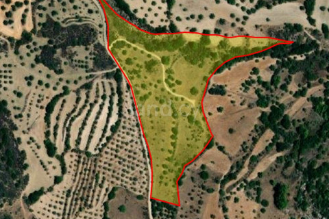 Agricultural field for sale in Paphos