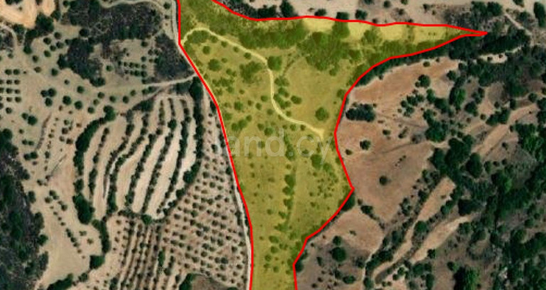 Agricultural field for sale in Paphos