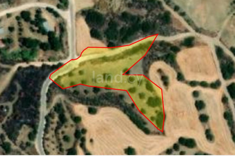 Agricultural field for sale in Paphos