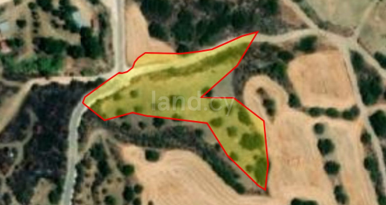 Agricultural field for sale in Paphos