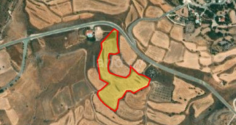 Terrain agricole à vendre à Paphos