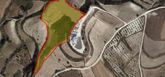 Landwirtschaftliches Baugebiet in Paphos zu verkaufen