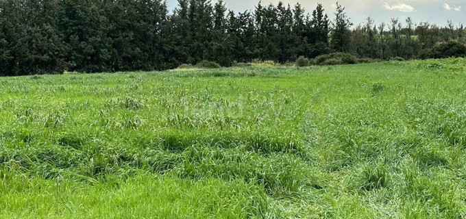 Residential field for sale in Paphos