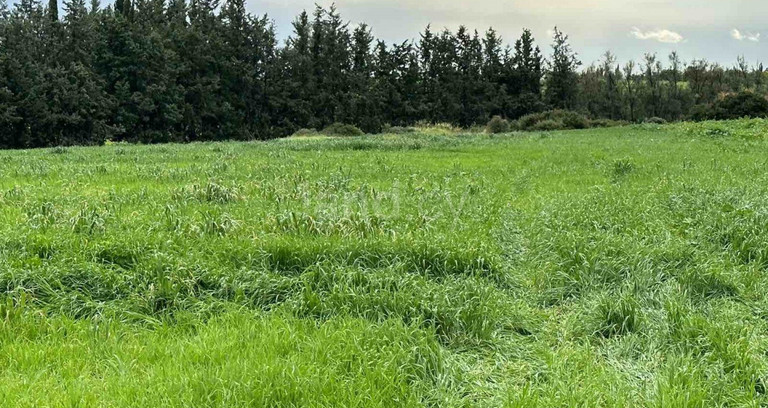 Residential plot for sale in Paphos