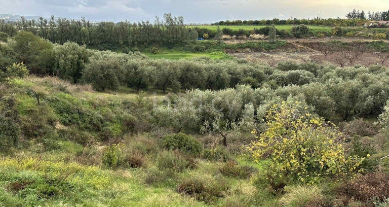 Campo agrícola a la venta en Paphos