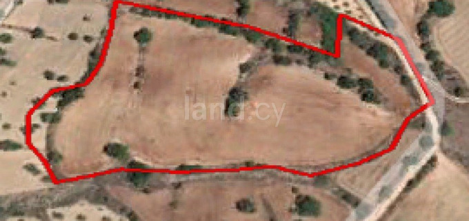 Campo agrícola a la venta en Paphos