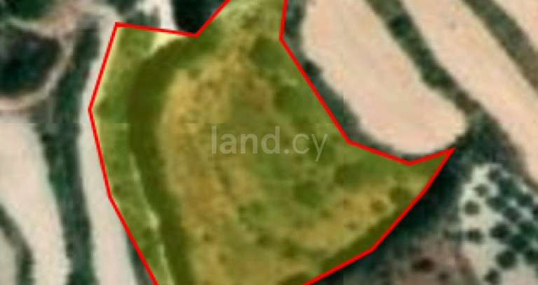 Terrain agricole à vendre à Paphos