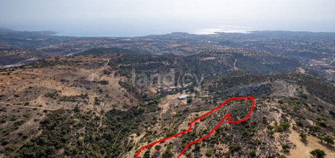 Agricultural field for sale in Paphos