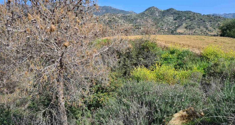 Landwirtschaftliches Baugebiet in Limassol zu verkaufen