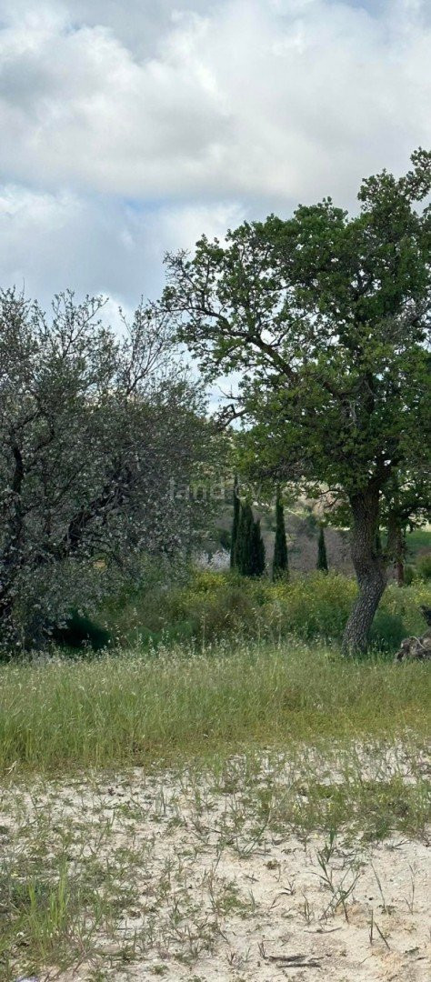 Parcelle résidentielle à vendre à Paphos