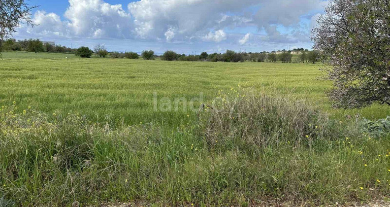 Agricultural field for sale in Paphos