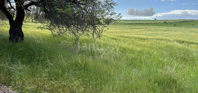 Pole rolne na sprzedaż w Paphos