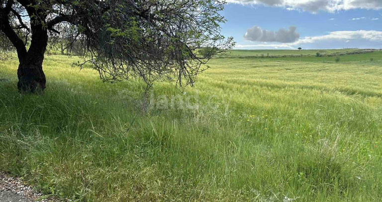 Pole rolne na sprzedaż w Paphos