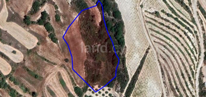 Landwirtschaftliches Baugebiet in Paphos zu verkaufen