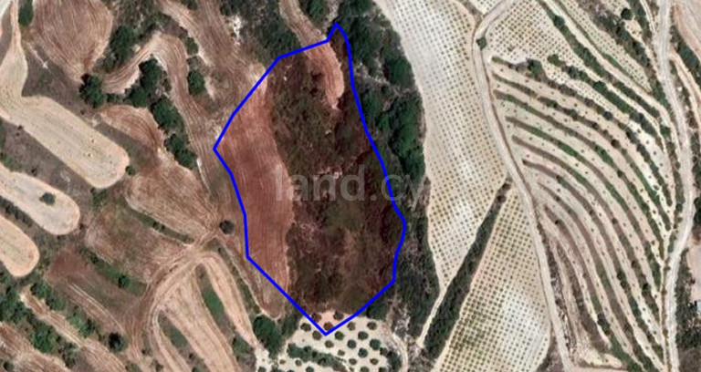 Landwirtschaftliches Baugebiet in Paphos zu verkaufen