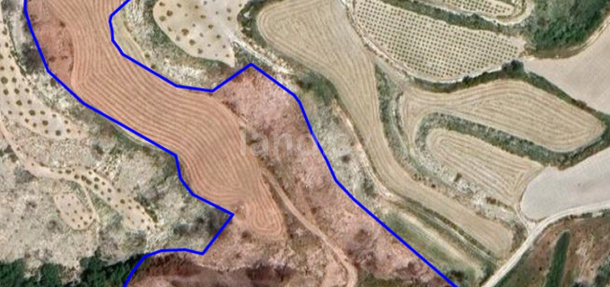 Landwirtschaftliches Baugebiet in Paphos zu verkaufen
